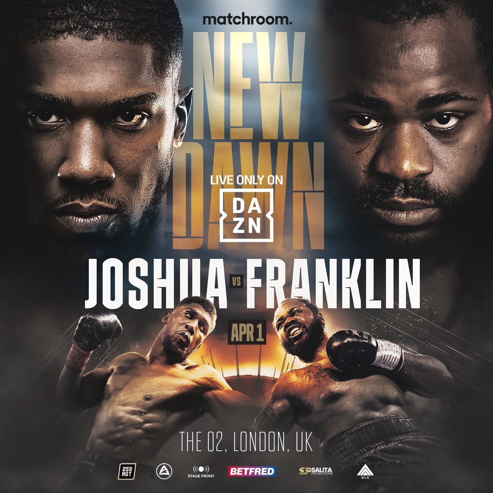 Anthony Joshua vs. Jermaine Franklin, 12 rounds, heavyweights.